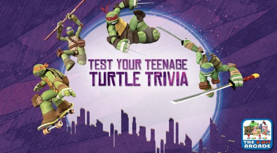 33 Ninja Turtle Birthday Party Ideas Kids Will Love