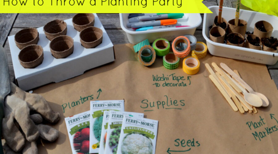 11 Year Old Birthday Party Ideas at Home