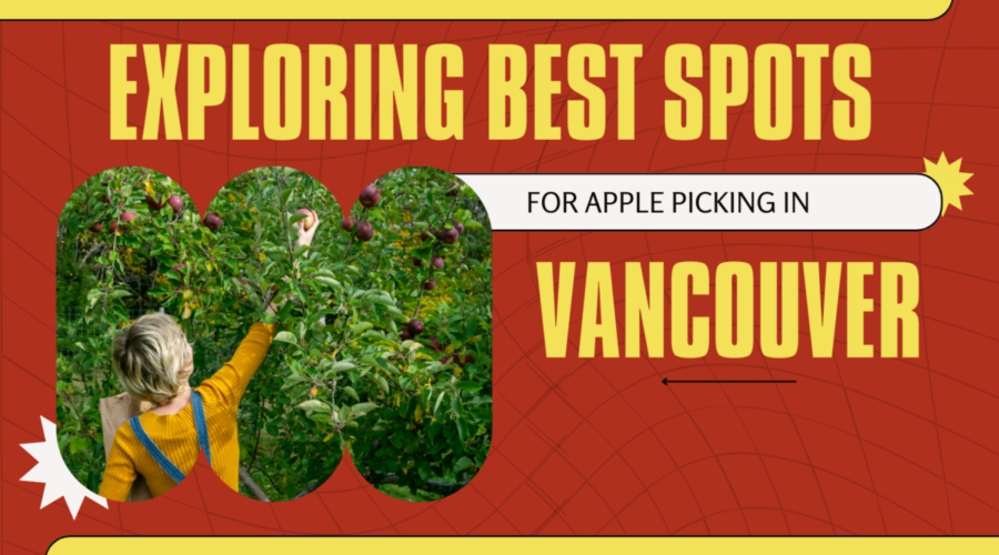 Exploring Best Spots For Apple Picking Vancouver