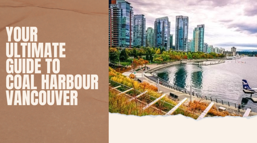 Your Ultimate Local Guide to Coal Harbour Vancouver