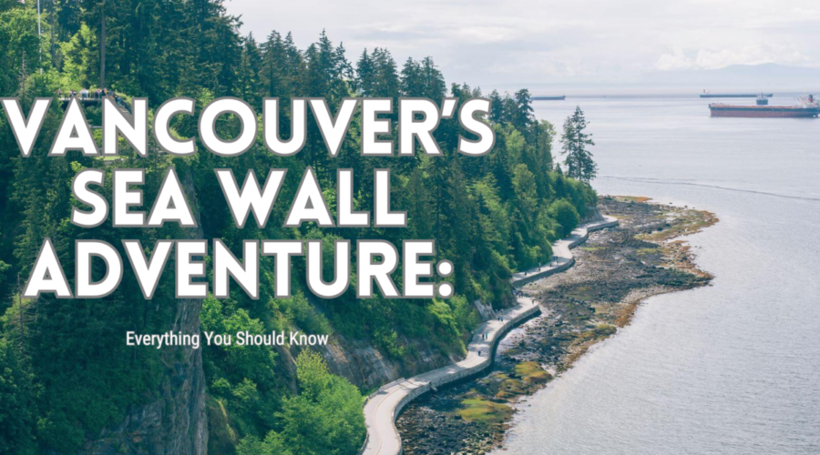 Vancouver Seawall Adventure: Everything You Should Know