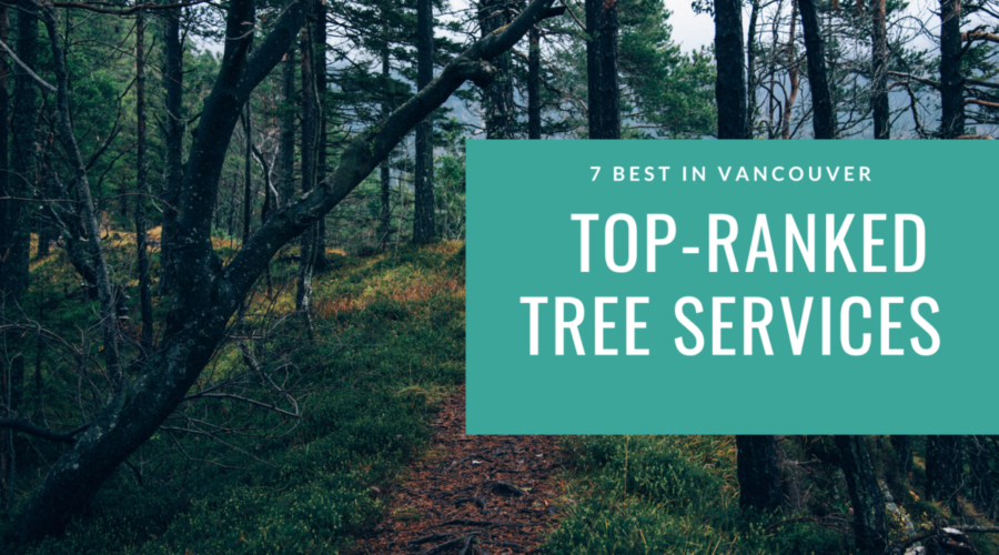 Top-Ranked Tree Services: 7 Best in Vancouver