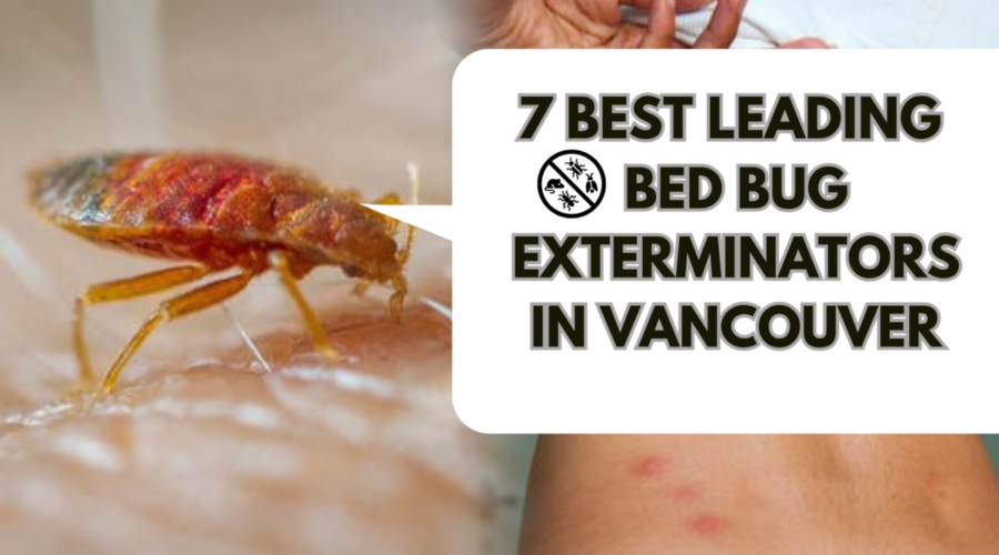 7 Best Leading Bed Bug Exterminators In Vancouver