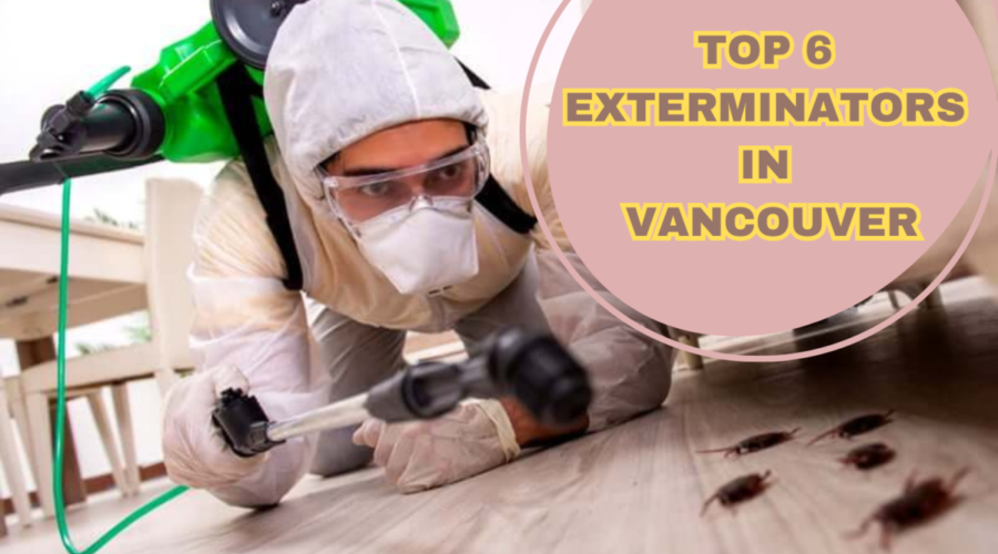 Top 6 Exterminators in Vancouver: Your Ultimate Guide