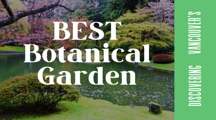 Discovering the Best Botanical Gardens in Vancouver