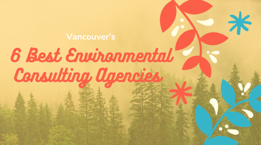 6 Best Environmental Consulting Agencies in Vancouver