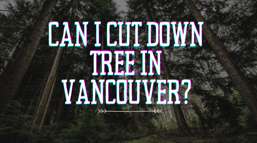 Can I Cut Down Tree In Vancouver?