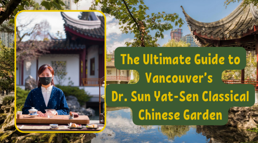 Ultimate Guide To Chinese Garden Vancouver: What You Need to Know